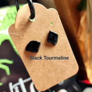 Black Tourmaline Earrings