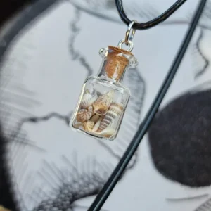 Sea Shell filled Glass Bottle Necklace
