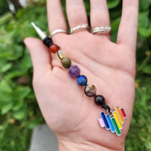 Rainbow Pride Crystal Roach Clips, Carnelian, Citrine, Unakite, Amethyst, Lapis Lazuli, Rhodinite, Red Tigers Eye