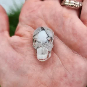 Howlite Skull Magnet