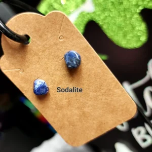 Sodalite Earrings