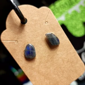 Flat Labradorite Earrings