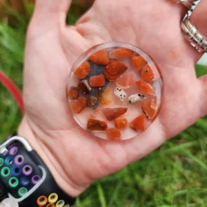 Carnelian Circle Magnet